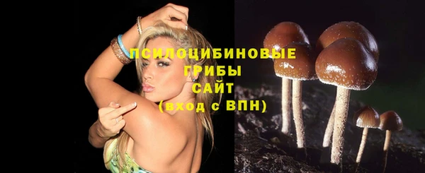 гашиш Алексин