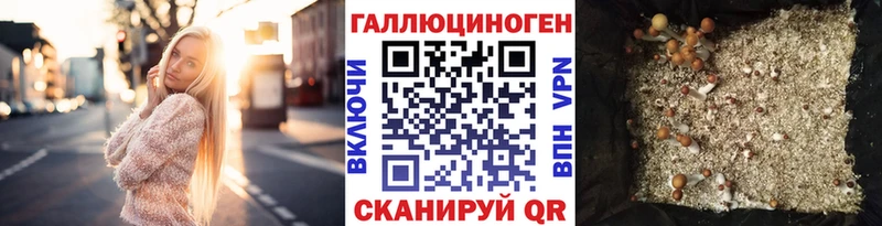 Псилоцибиновые грибы мицелий  где купить   Мураши 